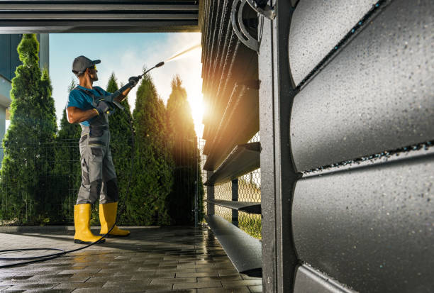 Best Exterior Home Cleaning  in Tylertown, MS